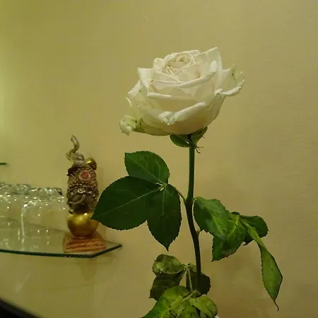 Color فندق فارنا