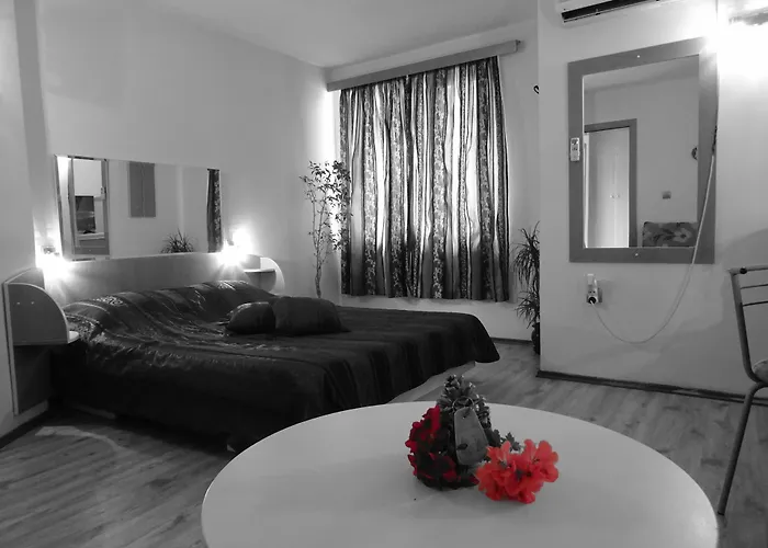 Отель Color 3*